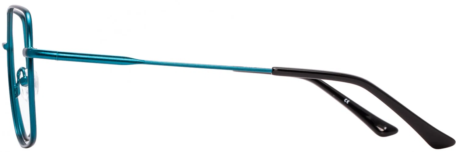 Adin Thomas ATS006 Eyeglasses - view 8